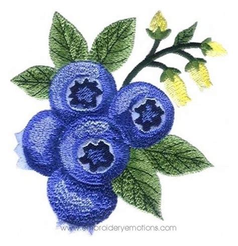 blueberry designer|blueberry embroidery design ideas.